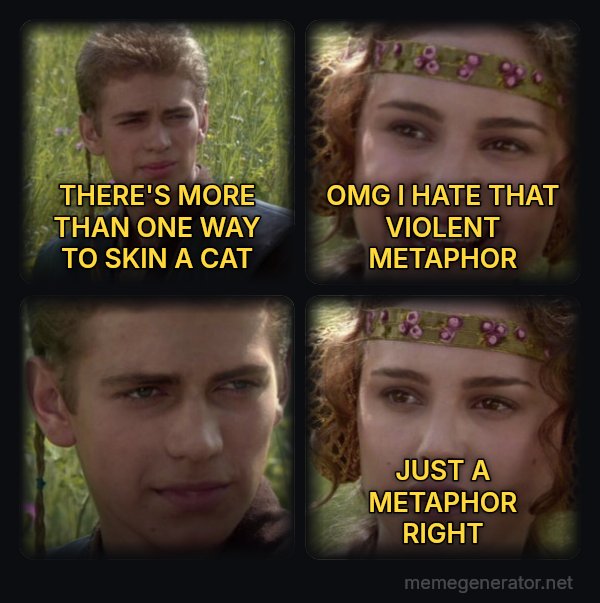 Anakin and Padme meme: THERE'S MORE THAN ONE WAY TO SKIN A CAT / OMG I HATE THAT VIOLENT METAPHOR / JUST A METAPHOR RIGHT
