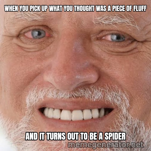 Harold Grins Through It meme: WHEN YOU PICK UP WHAT YOU THOUGHT WAS A PIECE OF FLUFF / AND IT TURNS OUT TO BE A SPIDER