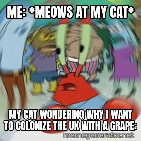 Confused Mr. Krabs meme: Me: *meows at my cat* / My cat wondering why I want to colonize the UK with a grape: