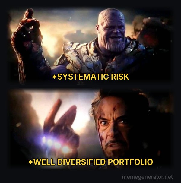 I Am Inevitable / I Am Iron Man meme: *SYSTEMATIC RISK / *WELL DIVERSIFIED PORTFOLIO