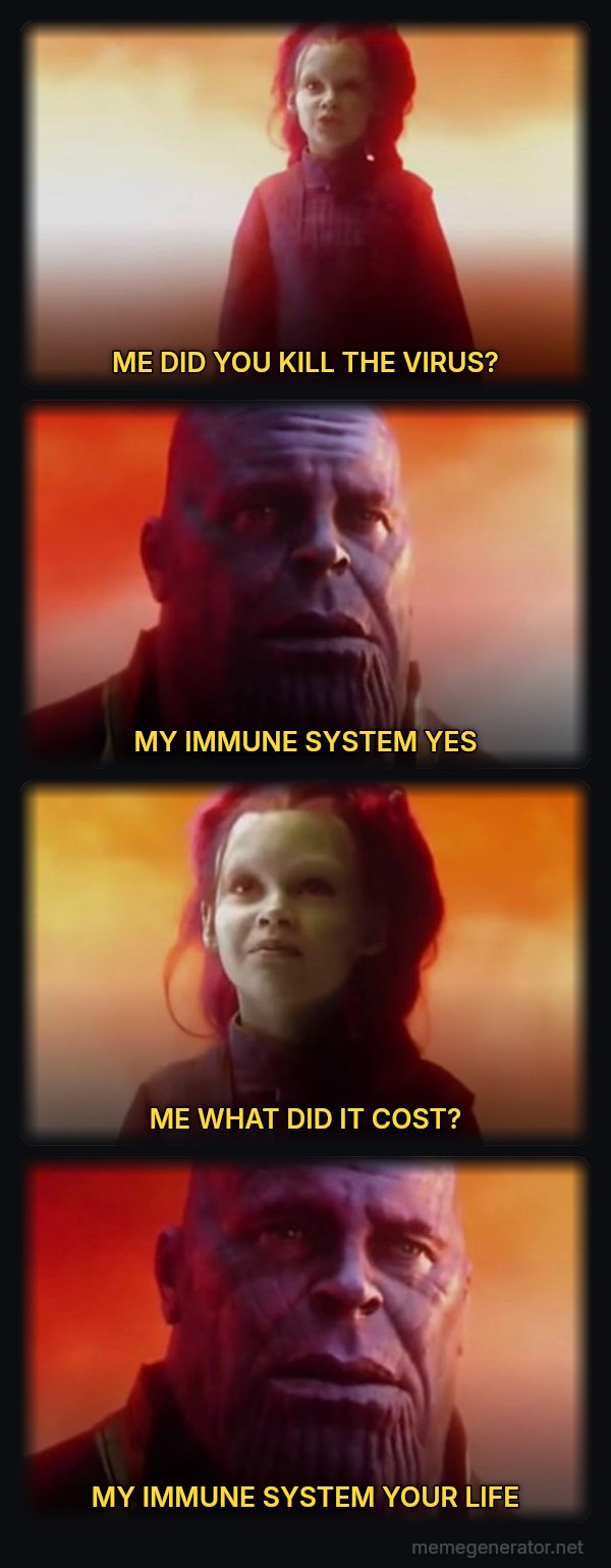 What Did It Cost? Everything meme: ME DID YOU KILL THE VIRUS? / MY IMMUNE SYSTEM YES / ME WHAT DID IT COST? / MY IMMUNE SYSTEM YOUR LIFE