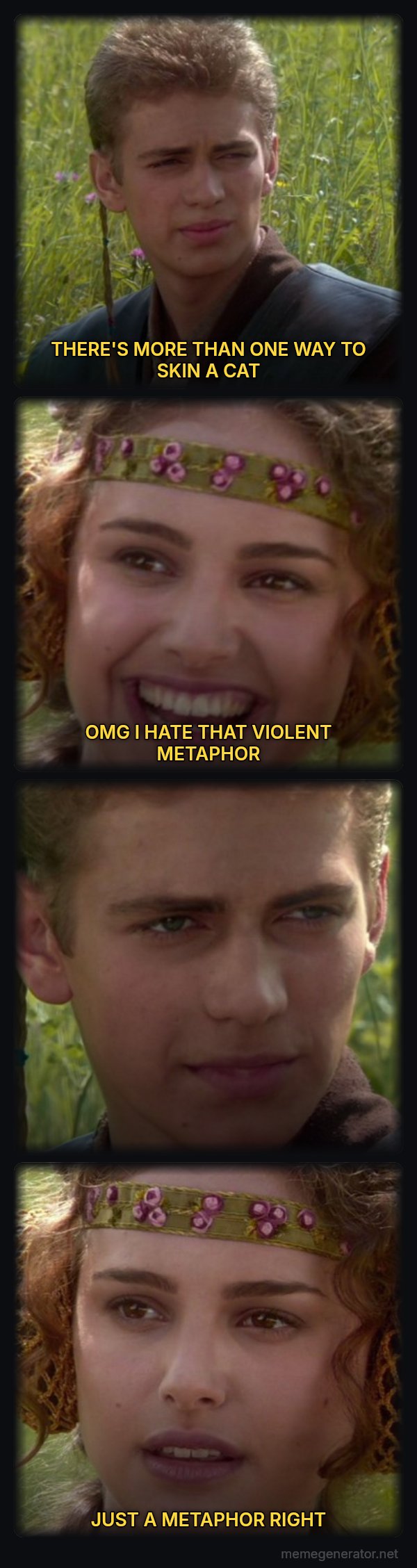 For the Better, Right? meme: THERE'S MORE THAN ONE WAY TO SKIN A CAT / OMG I HATE THAT VIOLENT METAPHOR / JUST A METAPHOR RIGHT
