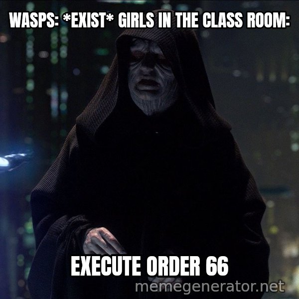 Execute Order 66 meme: WASPS: *EXIST*
GIRLS IN THE CLASS ROOM: / Execute Order 66