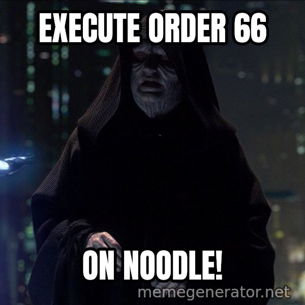 Execute Order 66 meme: EXECUTE ORDER 66 / ON NOODLE!