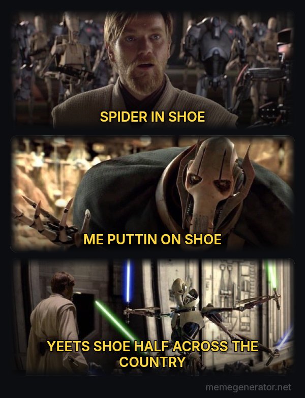 Hello There / General Kenobi meme: SPIDER IN SHOE / ME PUTTIN ON SHOE / YEETS SHOE HALF ACROSS THE COUNTRY