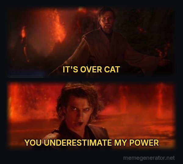 It's Over Anakin, I Have the High Ground meme: IT'S OVER CAT / YOU UNDERESTIMATE MY POWER