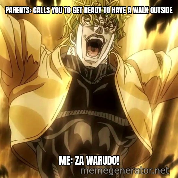 ZA WARUDO meme: Parents: Calls you to get ready to have a walk outside / ME: ZA WARUDO!