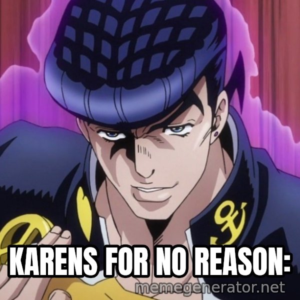 What Did You Say About My Hair? meme: KARENS FOR NO REASON:
