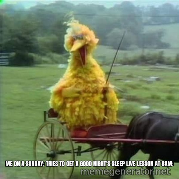 We Ride At Dawn meme: me on a sunday:
tries to get a good night's sleep
live lesson at 8am: