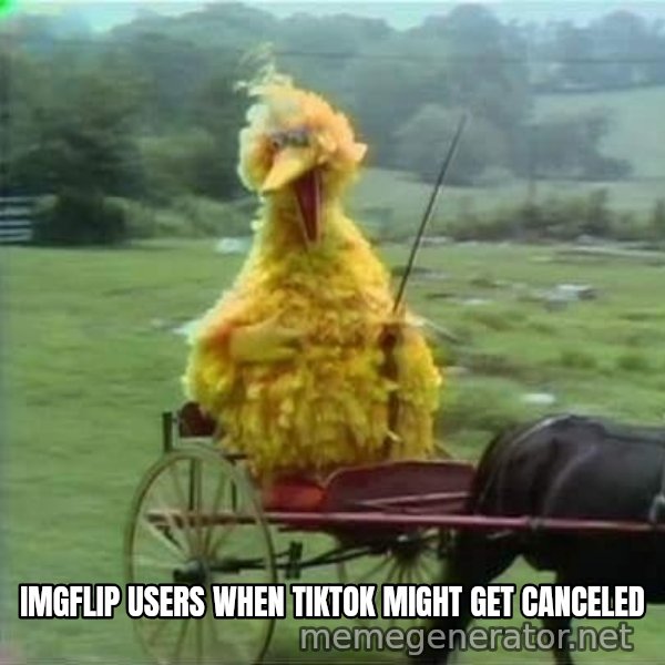 We Ride At Dawn meme: IMGFLIP USERS WHEN TIKTOK MIGHT GET CANCELED