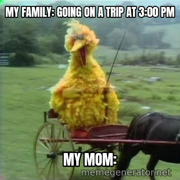We Ride At Dawn meme: My family: Going on a trip at 3:00 PM / My mom:
