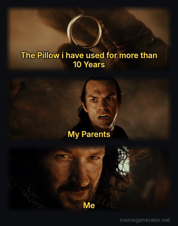 Cast It Into the Fire meme: The Pillow i have used for more than 10 Years / My Parents / Me