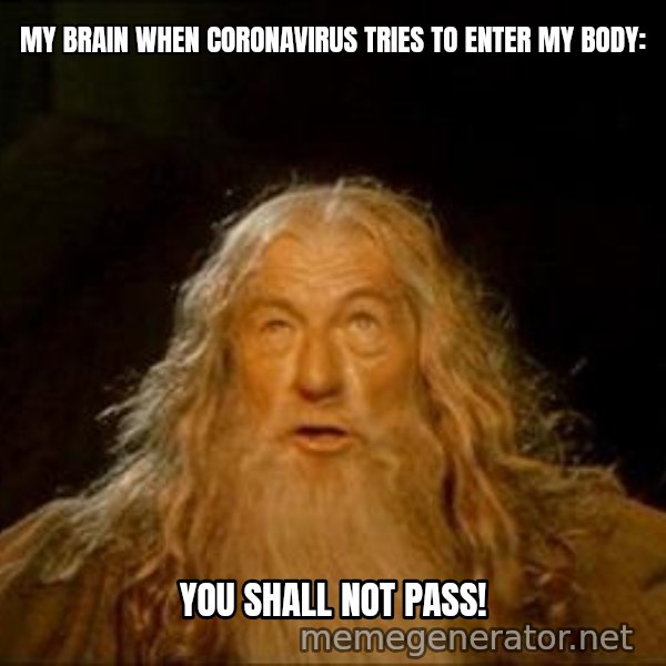 You Shall Not Pass meme: MY BRAIN WHEN CORONAVIRUS TRIES TO ENTER MY BODY: / YOU SHALL NOT PASS!