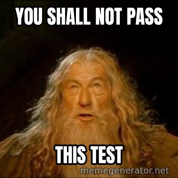 You Shall Not Pass meme: YOU SHALL NOT PASS / THIS TEST