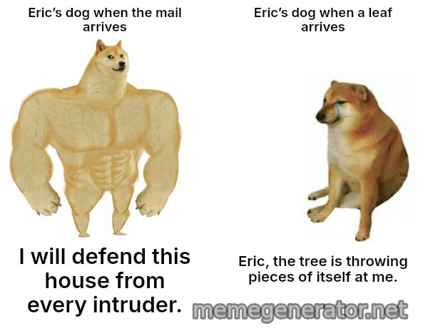 Buff Doge vs. Cheems meme: Eric’s dog when the mail arrives / Eric’s dog when a leaf arrives / I will defend this house from every intruder. / Eric, the tree is throwing pieces of itself at me.