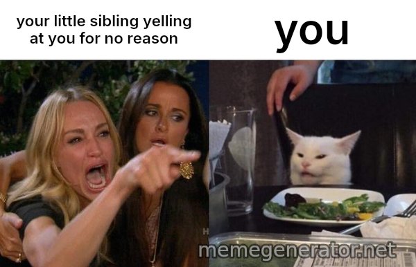Woman Yelling At Cat meme: your little sibling yelling at you for no reason / you