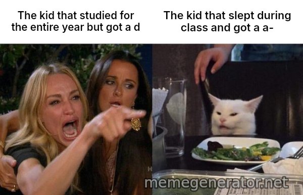 Woman Yelling At Cat meme: The kid that studied for the entire year but got a d / The kid that slept during class and  got a a-