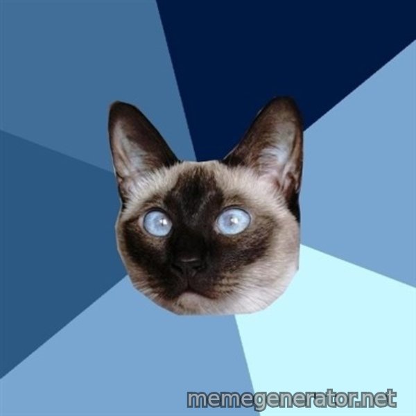 Chronic Illness Cat meme template