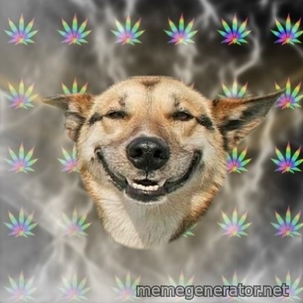 Stoner Dog meme template