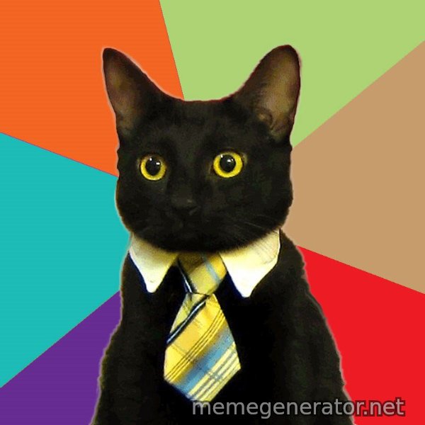 Business Cat meme template