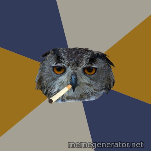 Art Student Owl meme template