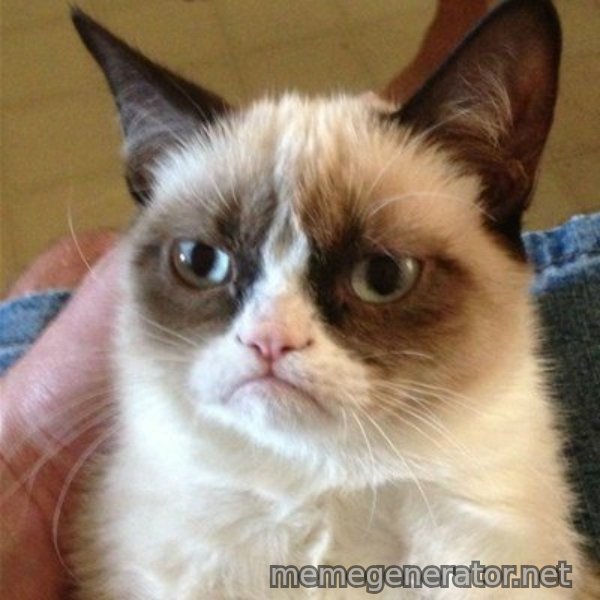 Grumpy Cat  meme template