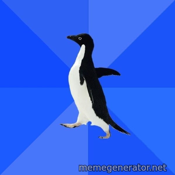 Socially Awkward Penguin meme template