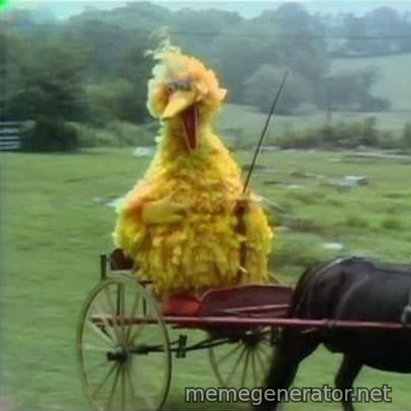 We Ride At Dawn meme template