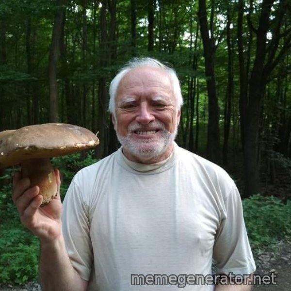 Harold's Mushroom meme template